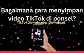 Bagaimana Cara Menyimpan Video TikTok Di Ponsel?